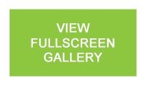 Pet Friendly B&B Photo Gallery