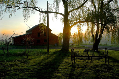 Pet Friendly B&B Patchwork Quilt Farm