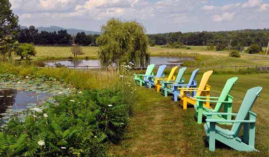 Pet Friendly B&B Pond